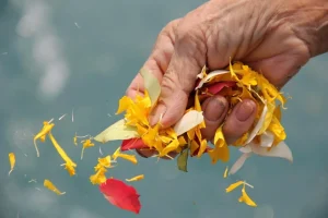 Sprinkling Ashes in the Ocean – A Journey of Peace and Freedom