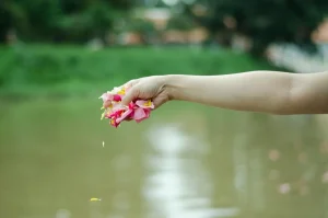 Windsor Scattering Ashes – A Peaceful River Farewell