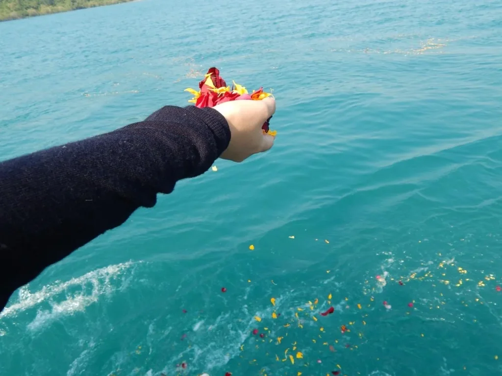 Beautiful float of flower petals into Thames water during celebration.
